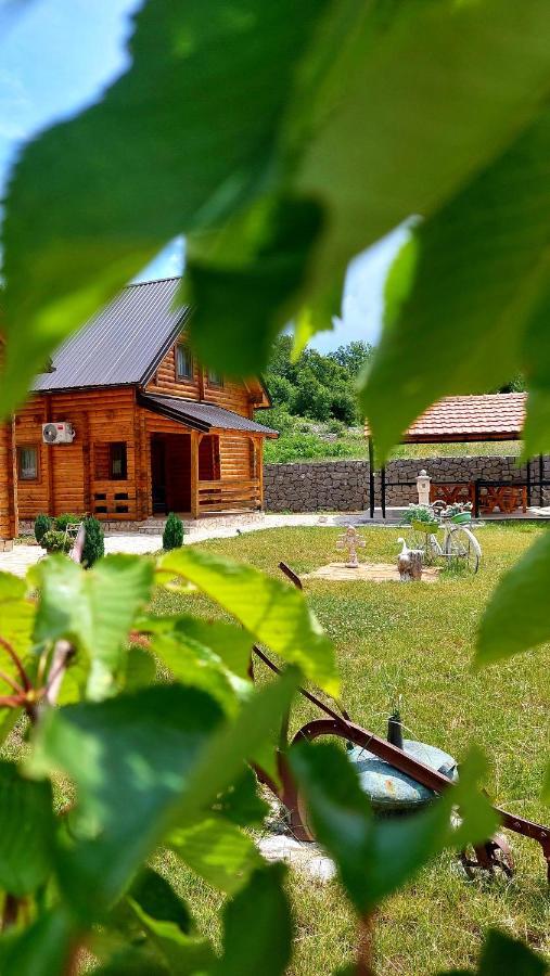 Villa Vinogradina Eco Vukcevic à Virpazar Extérieur photo